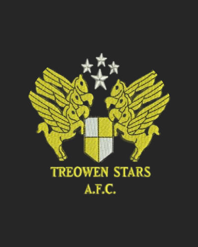 Elliot Humphries joins Treowen Stars